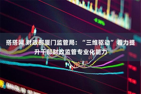 搭搭网 财政部厦门监管局：“三维驱动” 着力提升干部财政监管专业化能力