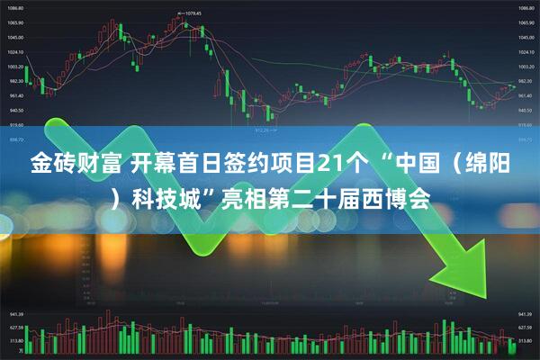 金砖财富 开幕首日签约项目21个 “中国（绵阳）科技城”亮相第二十届西博会