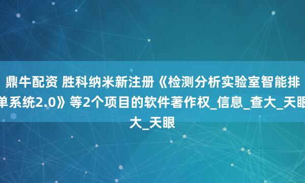 鼎牛配资 胜科纳米新注册《检测分析实验室智能排单系统2.0》等2个项目的软件著作权_信息_查大_天眼