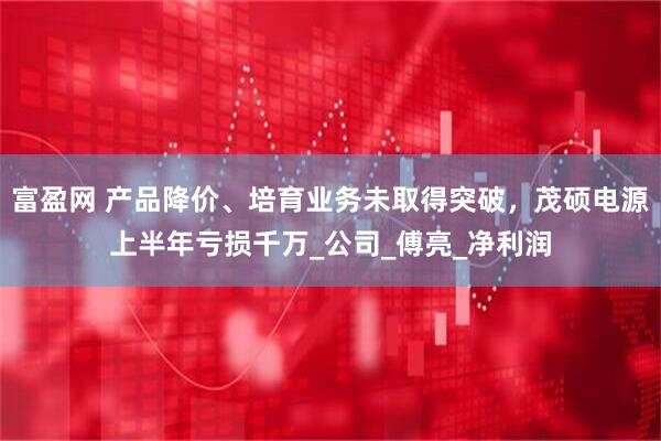 富盈网 产品降价、培育业务未取得突破，茂硕电源上半年亏损千万_公司_傅亮_净利润