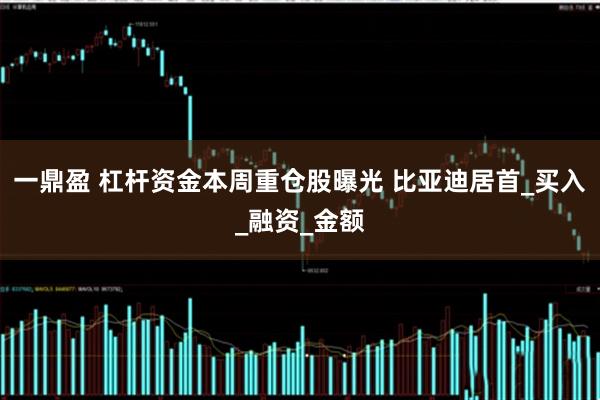 一鼎盈 杠杆资金本周重仓股曝光 比亚迪居首_买入_融资_金额