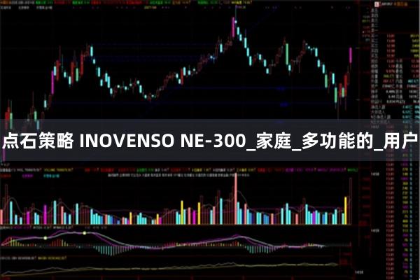 点石策略 INOVENSO NE-300_家庭_多功能的_用户