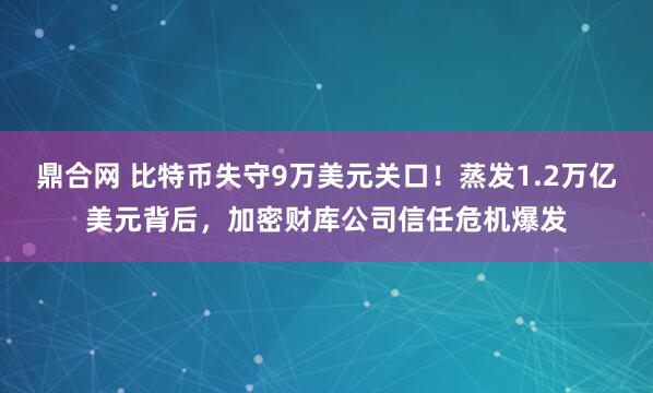 鼎合网 比特币失守9万美元关口！蒸发1.2万亿美元背后，加密财库公司信任危机爆发