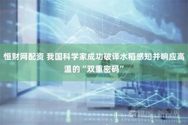 恒财网配资 我国科学家成功破译水稻感知并响应高温的“双重密码”