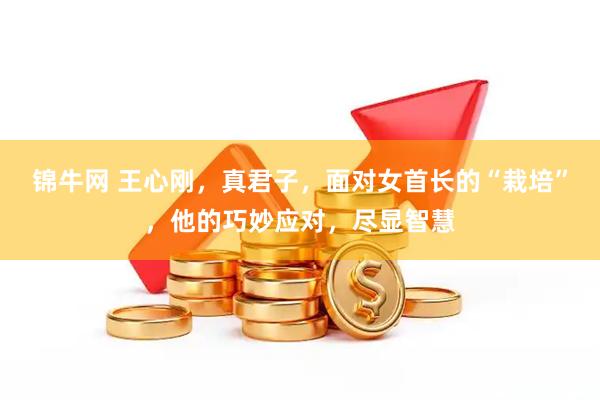 锦牛网 王心刚，真君子，面对女首长的“栽培”，他的巧妙应对，尽显智慧