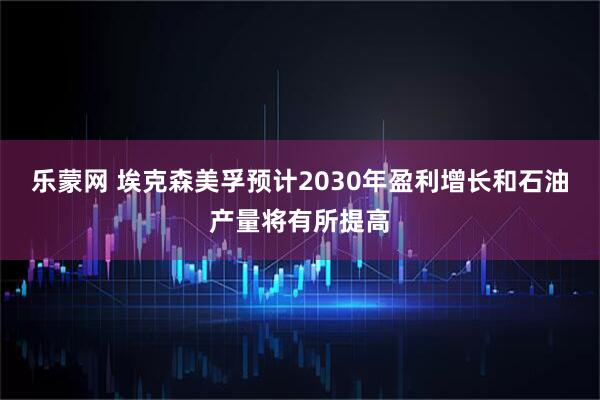 乐蒙网 埃克森美孚预计2030年盈利增长和石油产量将有所提高