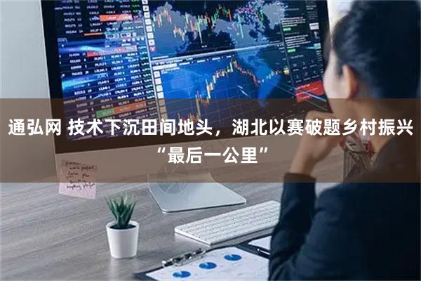 通弘网 技术下沉田间地头，湖北以赛破题乡村振兴“最后一公里”