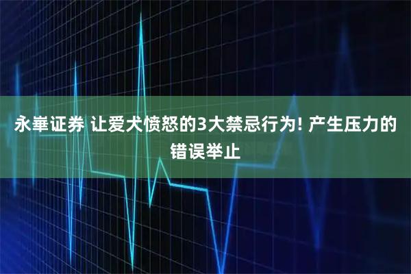 永崋证券 让爱犬愤怒的3大禁忌行为! 产生压力的错误举止